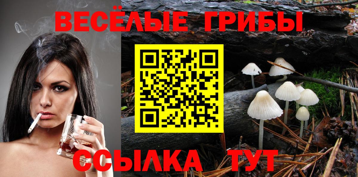 Обнинск  Псилоцибиновые грибы ЛСД  Вход с VPN  Псилоцибиновые грибы ЛСД 
